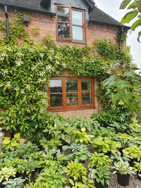 The Berringtons Farm